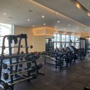 아바니핏 이미지