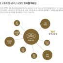 섹션나인 이미지