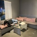 신신평참숯꼬기 이미지