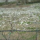 석경농장 이미지