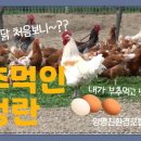 동양평농원 이미지