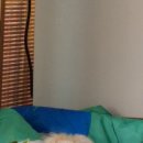 신반포로41길 10 이미지