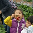 두물농원 이미지