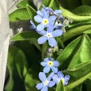 지혜미용실앞(정하탕옆) | 행복한 2월입니당당구리