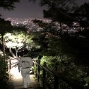 엘리트태권도 이미지