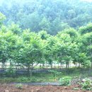 한반도공인중개사사무소 이미지