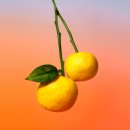 온더비치(on the beach) | [루이비통 향수]나만 알고싶은 싶은 인생향수 "루이비통 온더비치(On the Beach)" N병통 찐찐추천