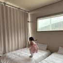 레크레이션 티스토리