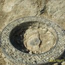 산장목장 이미지