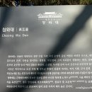 2412 청와대, 청와대 사랑채, 명동성당, 이디아커피 종로이화동점