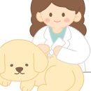 청소코끼리주식회사