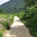 정선 신동읍 동강접한 관리지역 전604평 다용도 추천 이미지