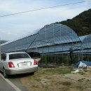 대추농장 이미지