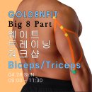 골든핏 교육일정ㅣBig 8 Part [Biceps,Triceps-이두,삼두] 웨이트 트레이닝 이미지