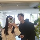 코코구마