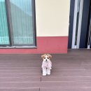다시오다스테이 | 괴산 스테이소몽 두번째 방문 후기