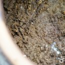 장익는마을 이미지