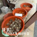 서귀동-2 | 서귀포 맛집 추천, 서귀동어촌계 해녀의집｜해물라면 전북죽 모둠 해산물 솔직후기