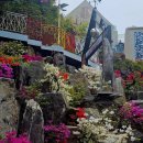 강화도 스페인마을 마르라이브 공연ㅡ9월13일 이미지