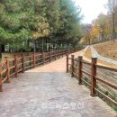 솔내공원 이미지