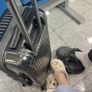 우리의 세번째 제주