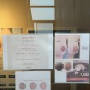 성덕동-7 | [거꾸로 가는 시간 강릉 1호점]강릉 피부관리 하는 곳::등드름 관리, 예비신부 등 관리는 여기서