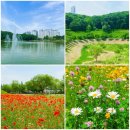 산책 - 파주 운정호수공원