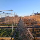 진흥2농장 이미지