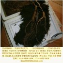 터미널슈퍼민박 이미지