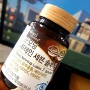 월드솔루션유통