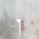 유앤아이 동물병원 이미지