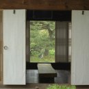 참중나무 이미지