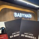 내돈내산 실버크로스 [ 절충형 유모차 듄2] 베이비하우스광주점 구매후기