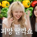 편식당 Daum카페