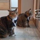 포항이동안마원 이미지