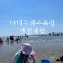몰운대꼼장어 | 다대포해수욕장에서 아이랑 갯벌체험 및 물놀이 :: 파라솔대여부터 간조시간 정보까지