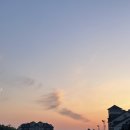 강릉경포물회 이미지