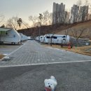 광교호수공원 가족캠핑장 | 광교호수공원 가족캠핑장 장작 불멍 금지 애견동반 가능
