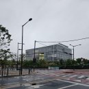 서울숲복합문화센터 수영강습 - 새벽수영 수린이 두 달 차 후기