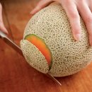 태국과일- 칸탈로프멜론(Cantalope Melon), 과일중의 과일, 추천1위 이미지