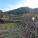 남해군창선면연곡보건진료소 이미지