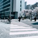 상업용 68 이미지