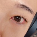 헬로 펌 | 광교속눈썹펌 미스튜디오 영양블랙펌 후기 마스카라 없이도 또렷한 눈매