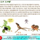 신나는 과학(A) 이미지