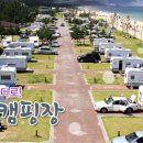 망상오토캠핑리조트 이미지