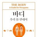 예스바디 이미지
