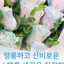 원모먼트 이미지
