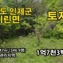 강원특별자치도 1급수 청정수가 흐르는 "나는자연인이다" 토지 1억7천3백만원 이미지