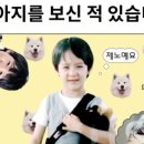 드리미스페이스