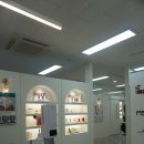 레푸스MS 이미지